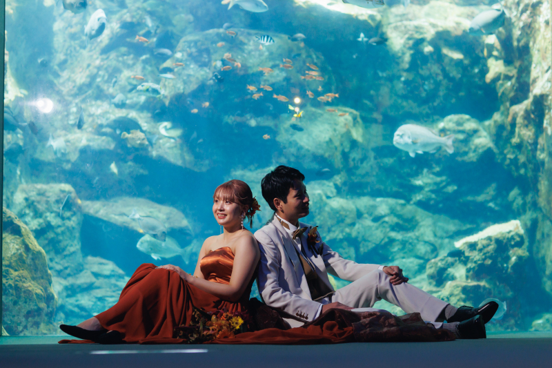 【海の世界に包まれて♡】洋装　水族館ロケーションプラン！