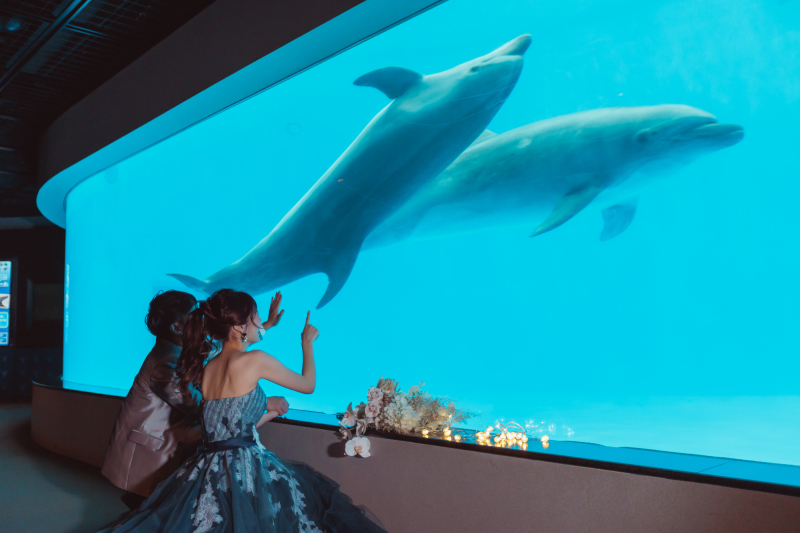 【海の世界に包まれて♡】洋装　水族館ロケーションプラン！