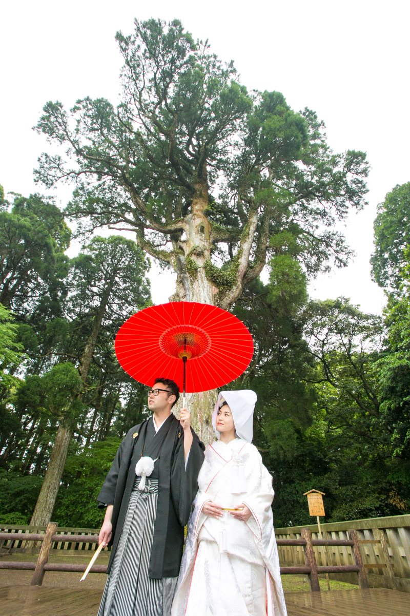 【神社で挙式】神前式プラン　⋆⸜全撮影データ付き⸝⋆ 衣装・ヘアメイク・着付・撮影全て含めてこの価格！