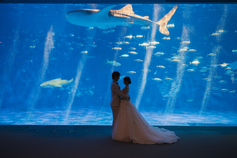 【海の世界に包まれて♡】洋装　水族館ロケーションプラン！
