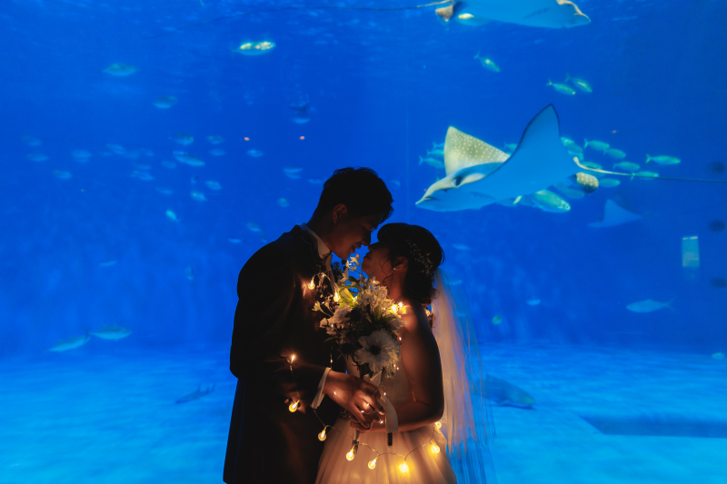 【海の世界に包まれて♡】洋装　水族館ロケーションプラン！