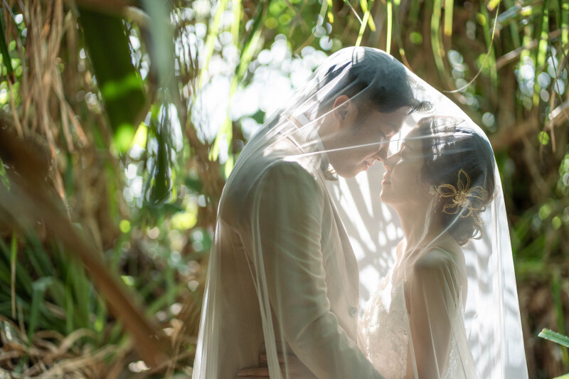 光が差し込む・・・