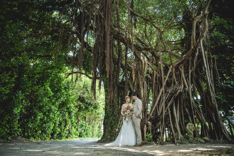 大きなガジュマルの下で