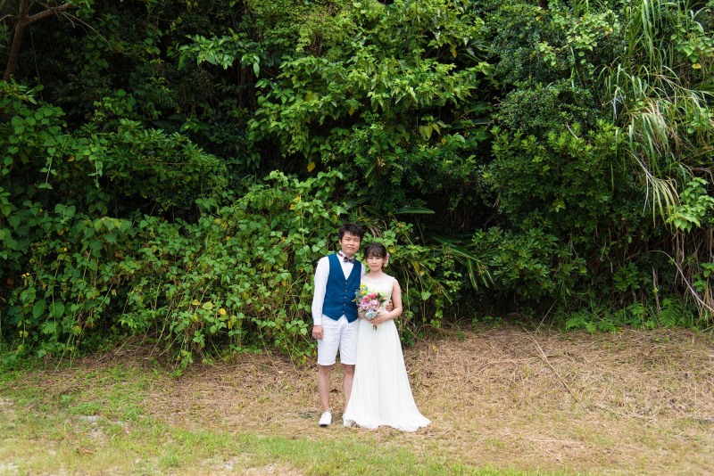 緑広がる景色から