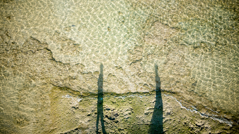 水面に映った影