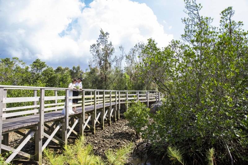 マングローブ！！