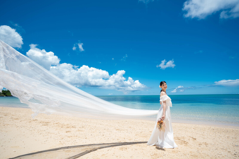 ロングベール＊