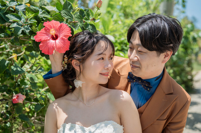 *ハイビスカス*