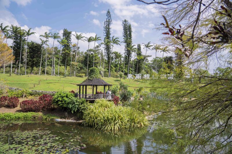 いろんな雰囲気で