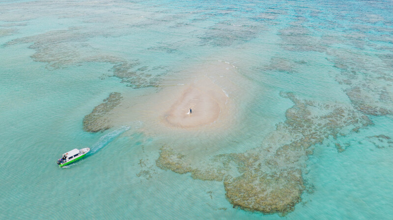 ダイナミックな1枚