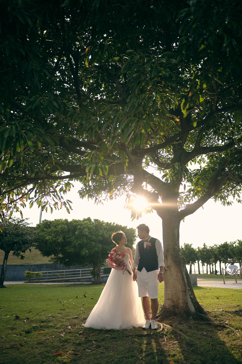 大きな木の下で