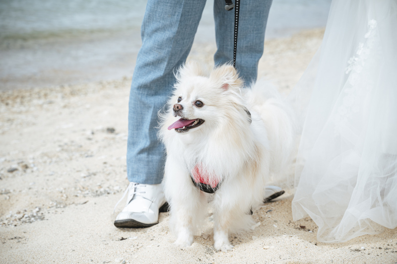 天使のように可愛いです❤︎