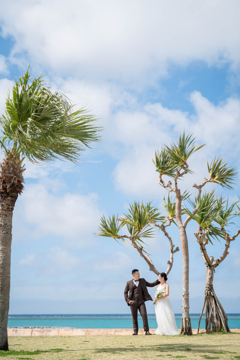 青い空と自然の緑