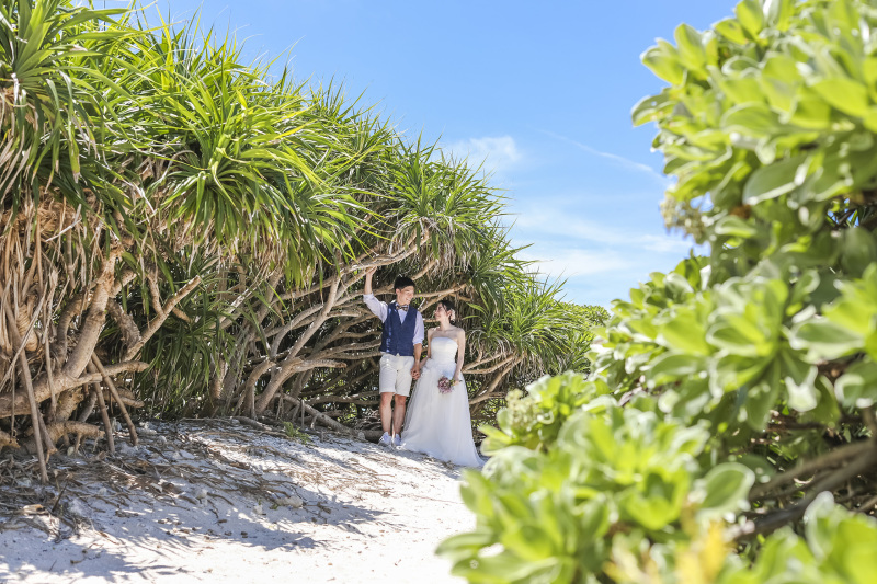 無人島内にある緑のスポットも♪