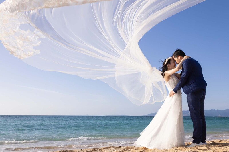 青空と白いベール＊