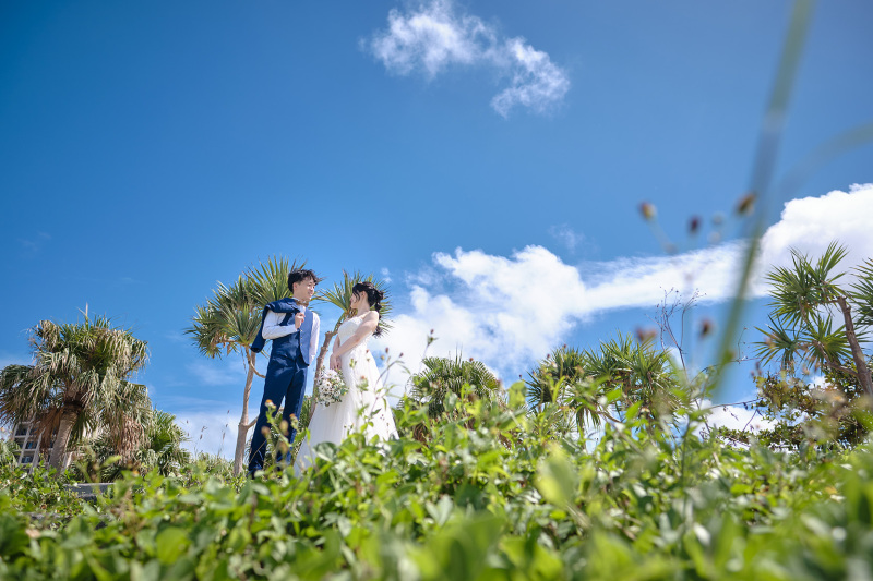 こんなお写真も・・・