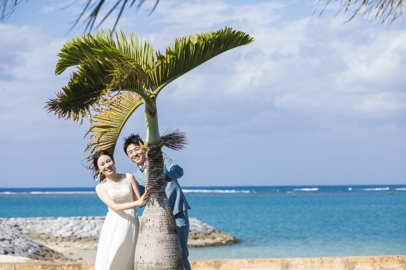 ひょっこりと✴︎