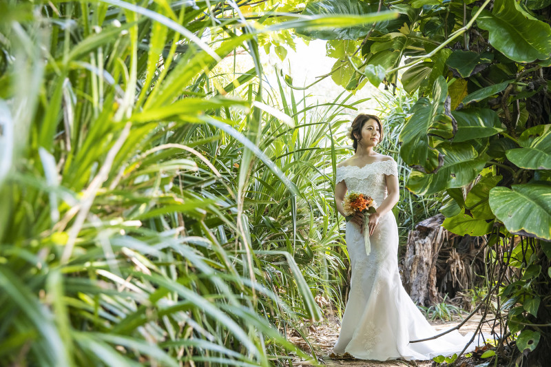 グリーンのトンネル*