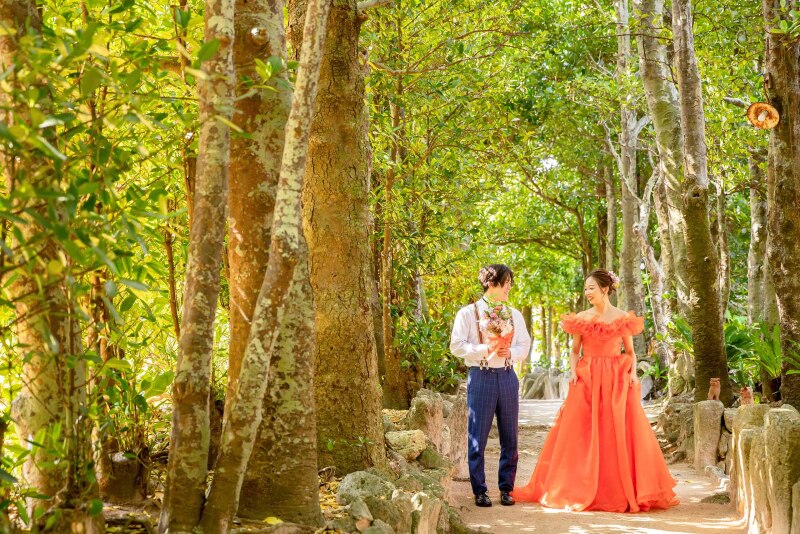 どこまでも続く緑のトンネル