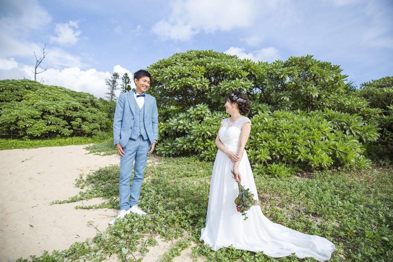 青空と南国植物*