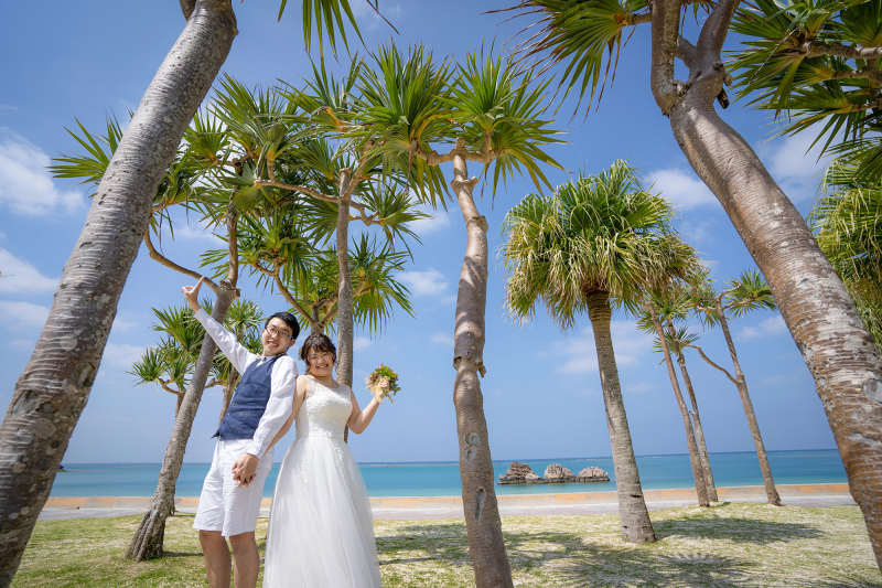 青空と南国植物