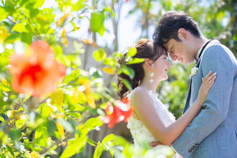 ハイビスカスショット