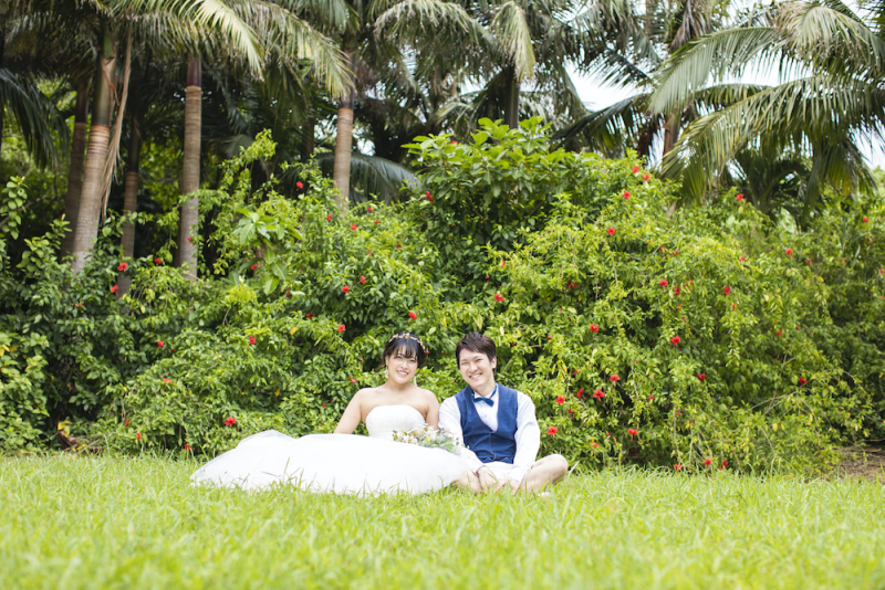 南国ハイビスカス