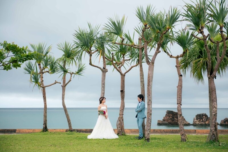 ヤシの木に囲まれて