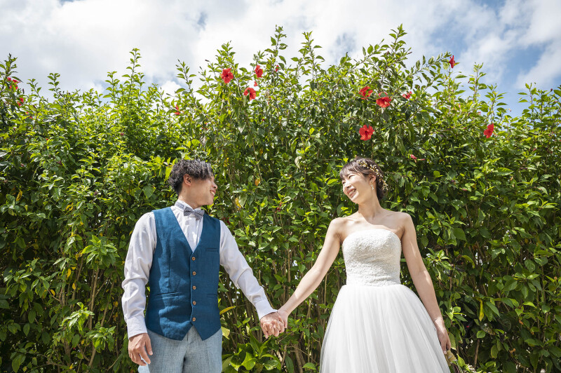 真っ赤なハイビスカスが映えます*