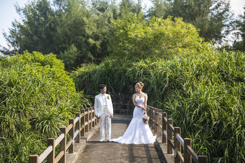 雰囲気のあるお写真*