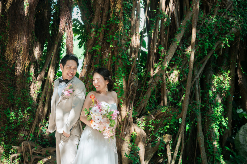 ガジュマルの木