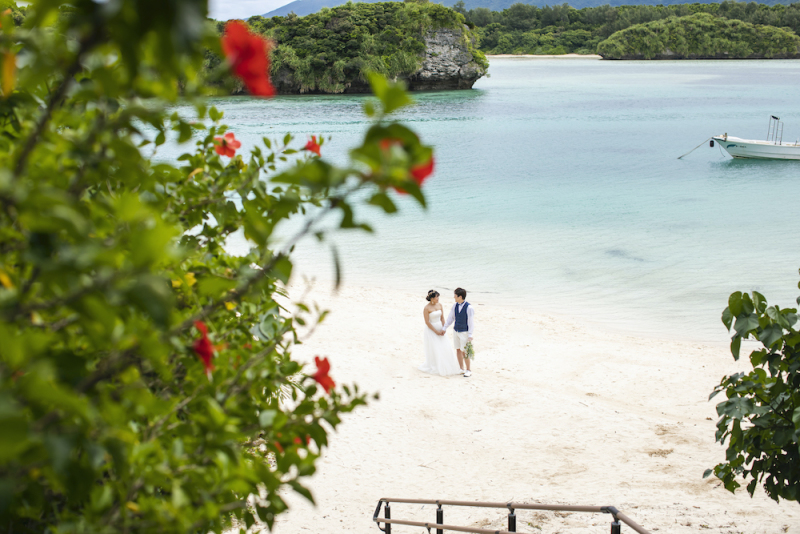 定番のここから！