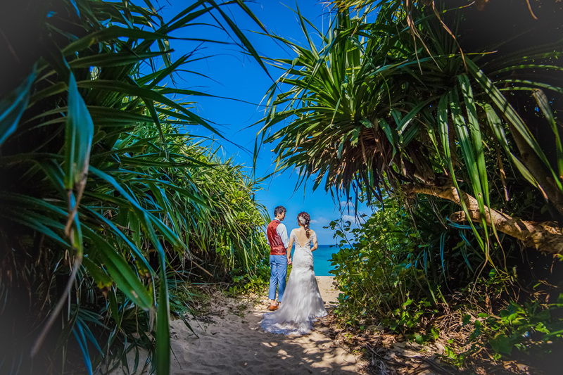 グリーンのトンネル*