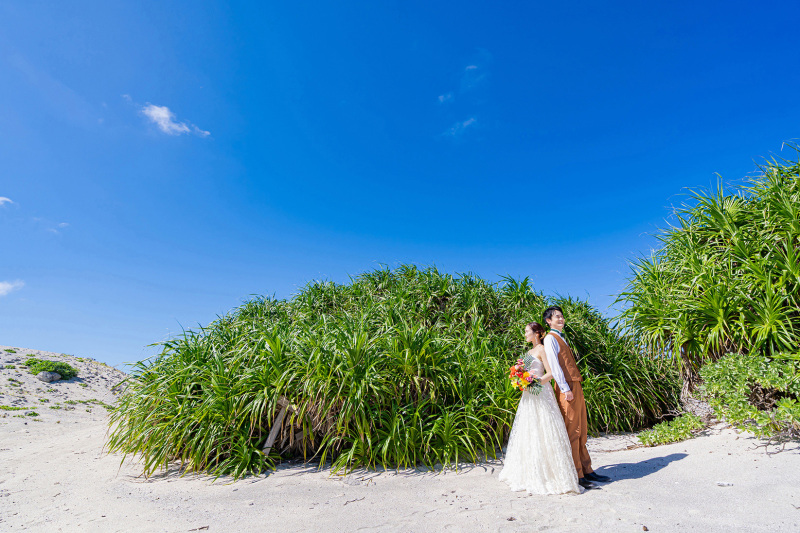 グリーンスポット