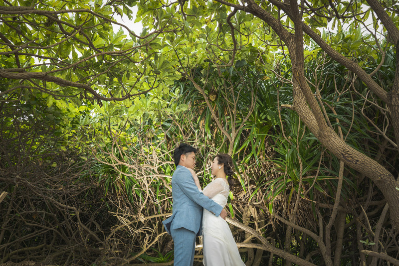 グリーンスポットで*