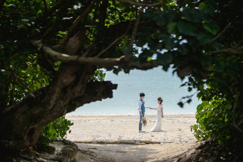 自然の窓から広がる海