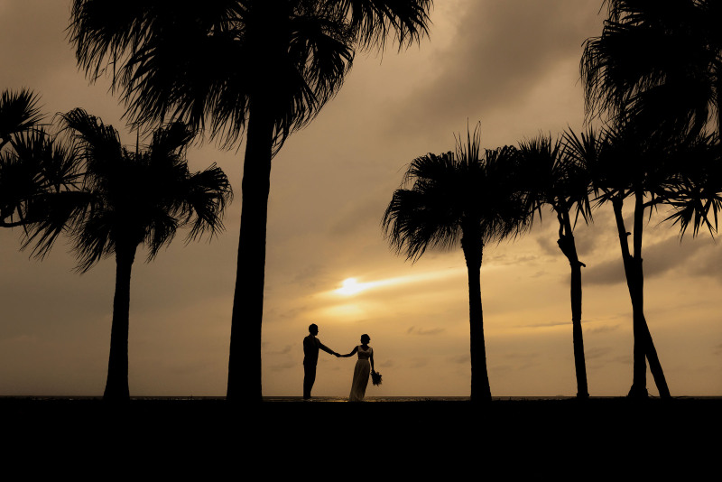 南国ならではのシルエット