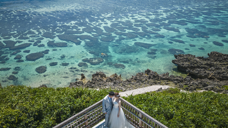 透けたサンゴ＊。・