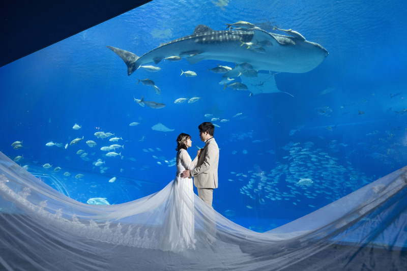 大好きな場所で＊