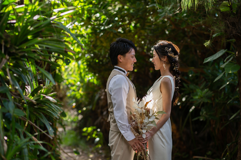 自然のスポットライト