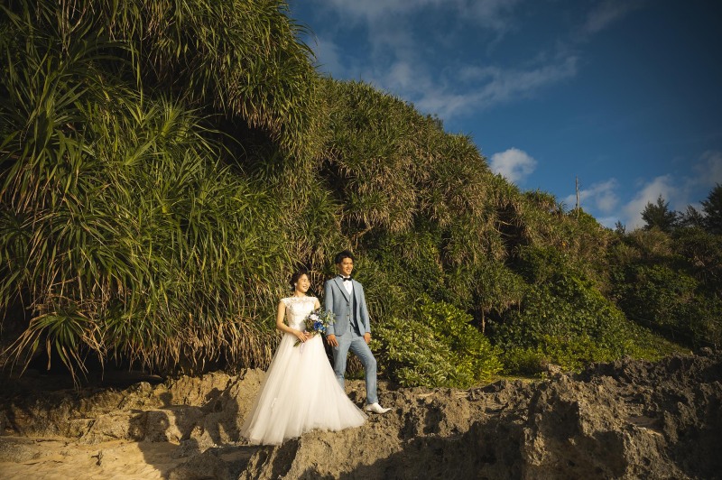 緑・緑・緑！！