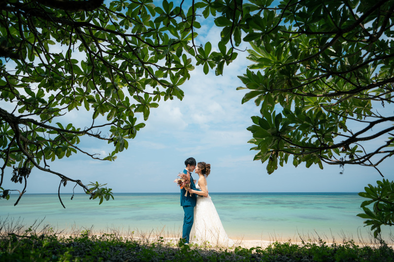 青と緑のコントラスト*