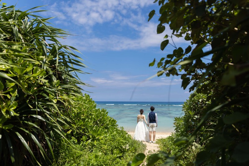 緑を抜けると、、