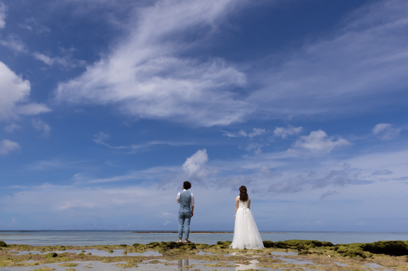 こんなカットも*