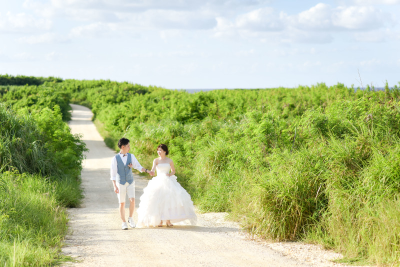 サンゴだけでできな道『コーラルウェイ』