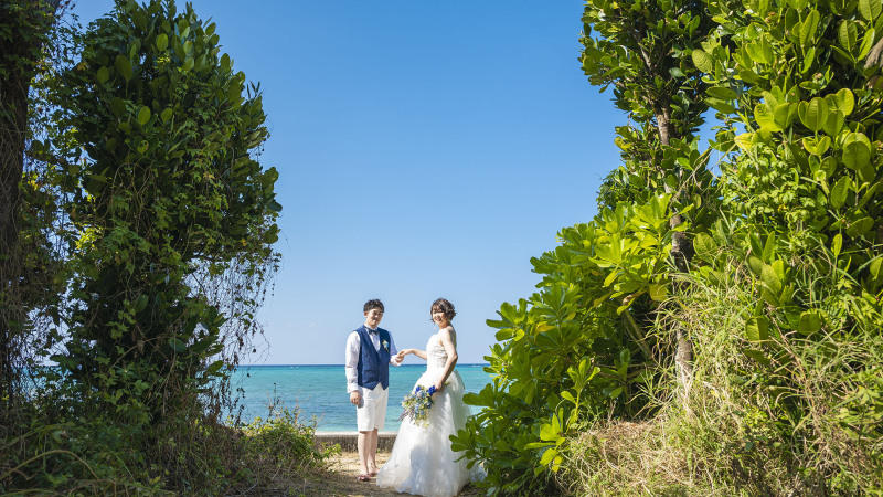 グリーンスポット＊