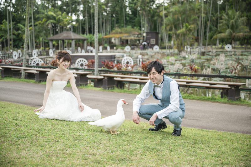 東南植物楽園でアヒルを発見〜！