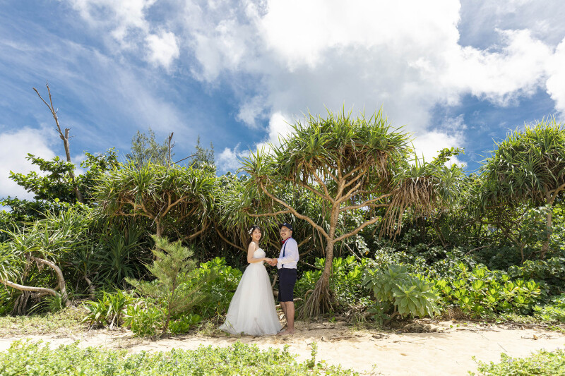 南国リゾート溢れるグリーンバック♪