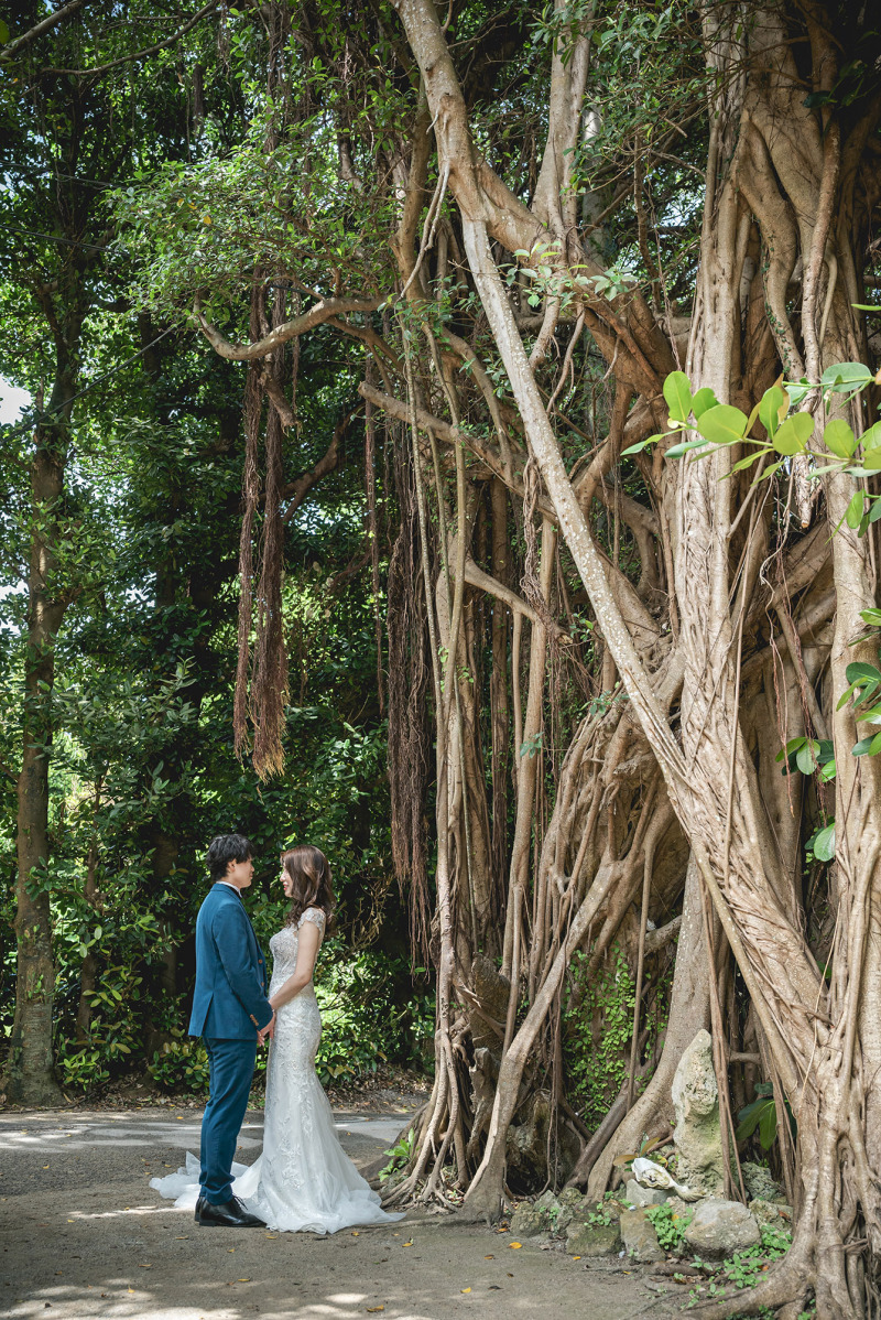 沖縄の植物ガジュマルとも♡