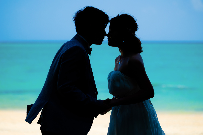 木陰でひと休み。